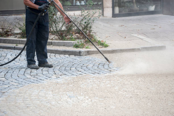 Best Gutter Cleaning  in Muleshoe, TX